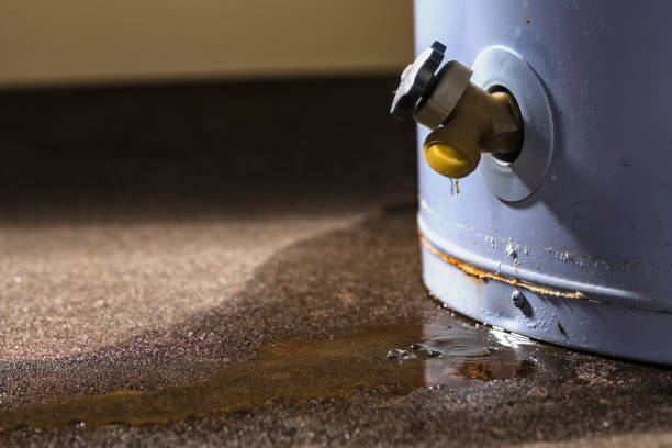Best Flood restoration services  in Riverview, FL