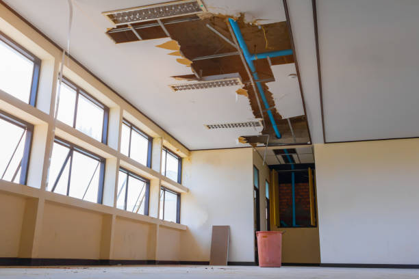 Best Water damage restoration near me  in Riverview, FL