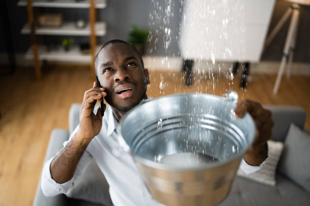 Best Local water damage restoration  in Riverview, FL