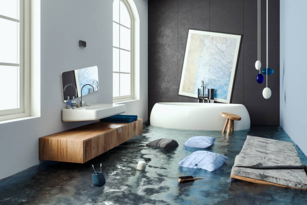 Best Professional water damage repair  in Riverview, FL