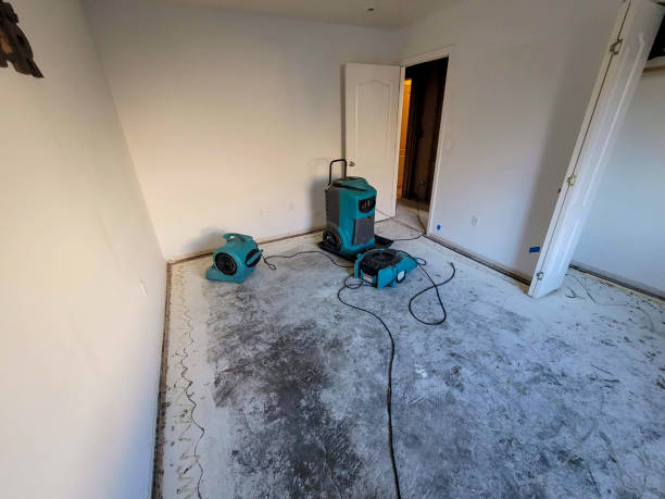 Best Flood damage cleanup  in Riverview, FL