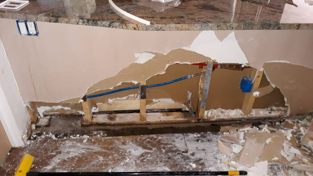 Best Flood damage cleanup  in Riverview, FL