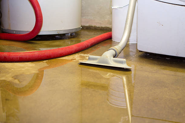 Best Basement water damage restoration  in Riverview, FL