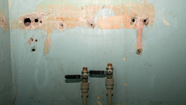 Best 24/7 water damage repair  in Riverview, FL