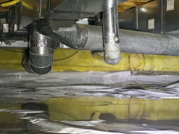 Best Carpet water damage restoration  in Riverview, FL
