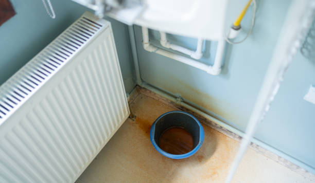 Best Water damage contractors near me  in Riverview, FL