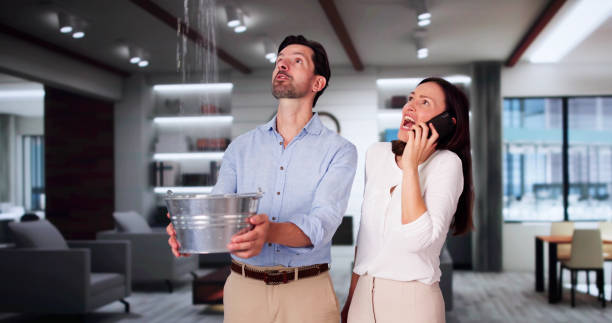 Best Carpet water damage restoration  in Riverview, FL